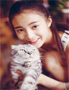 捕蝇纸2011