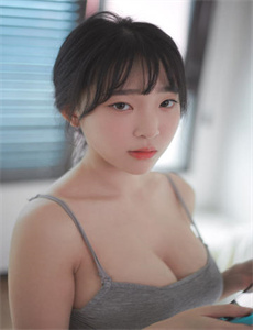 索斯机兽ZERO日语