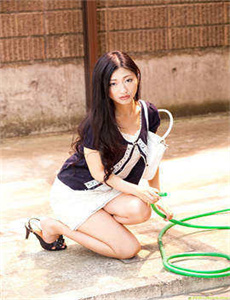猫科动物奇妙的动物家族